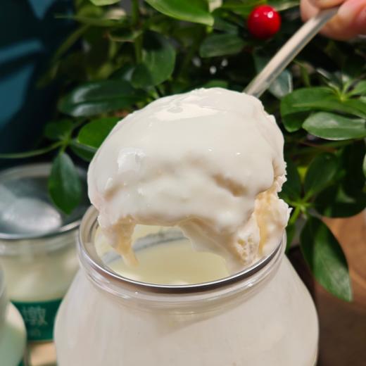 内蒙奶皮子酸奶 商品图2