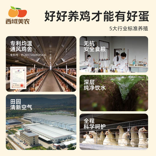 【FX】西域美农五星无抗鸡蛋/叶黄素可生食鸡蛋无抗生素 商品图8