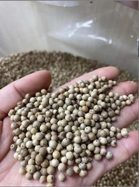 海南白胡椒粒250g
