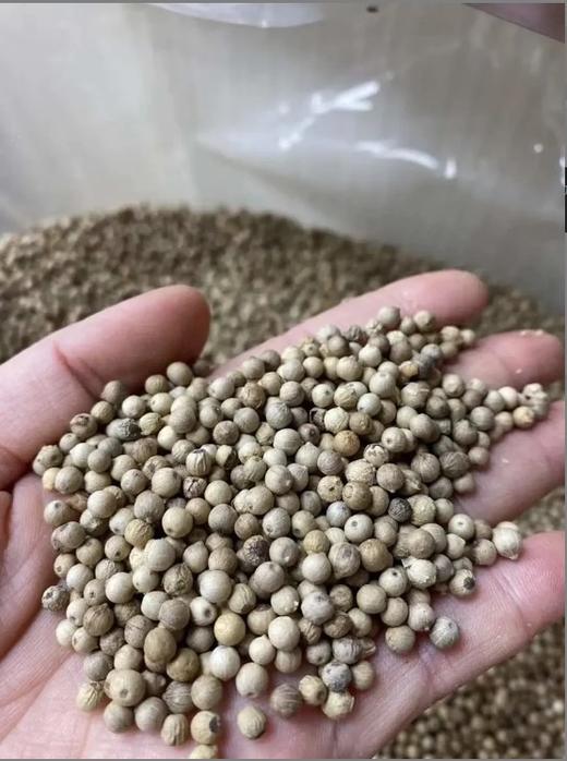 海南白胡椒粒250g 商品图0