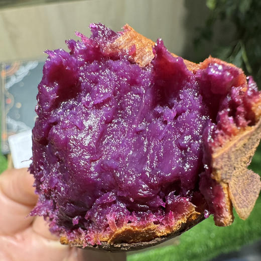 川山水晶紫薯 商品图2