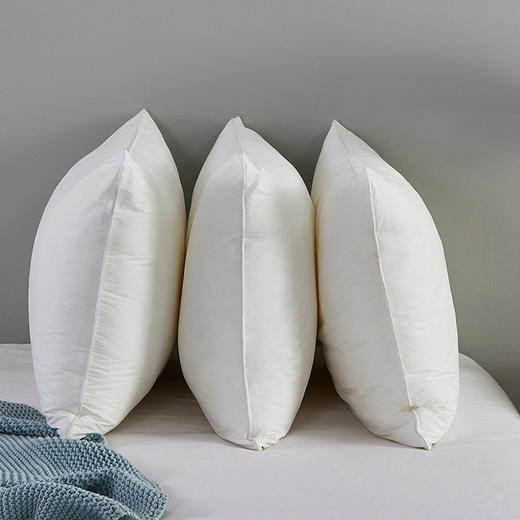 罗莱T 科技阻螨抗菌舒弹枕 47*73cm 商品图1