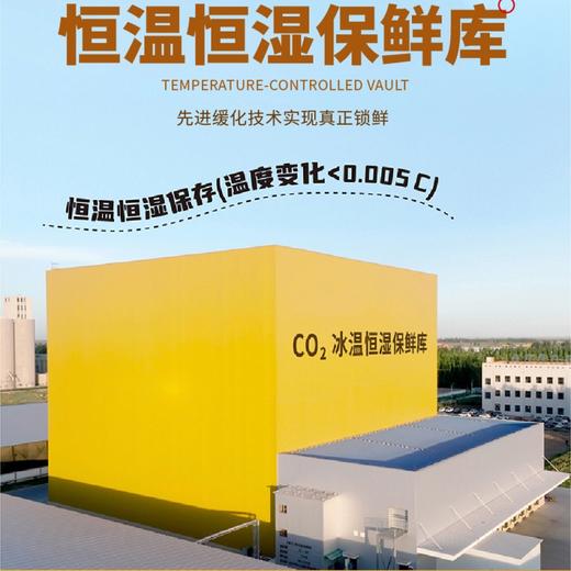 【糯玉米】新鲜玉米极速真空锁鲜，软糯拉丝自然有料 商品图2