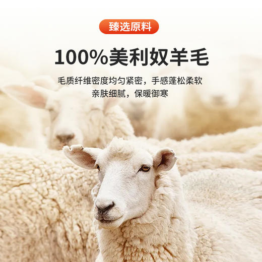 安东尼奥A&N 【百分百美利奴羊毛】轻奢商务保暖亲肤羊毛衫男简约百搭马甲 商品图4