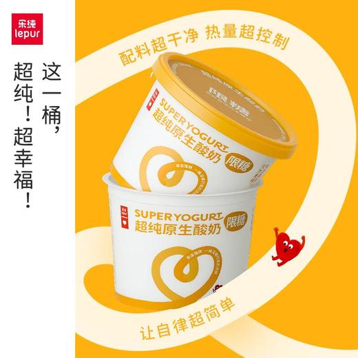 乐纯超纯原生酸奶零蔗糖400g 商品图2