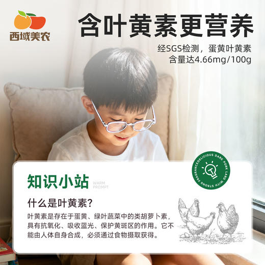 【FX】西域美农五星无抗鸡蛋/叶黄素可生食鸡蛋无抗生素 商品图3
