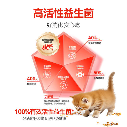 科膳烘焙鲜肉幼猫猫粮奶糕含羊乳粉改善肠道健康官方正品猫粮试吃 商品图5