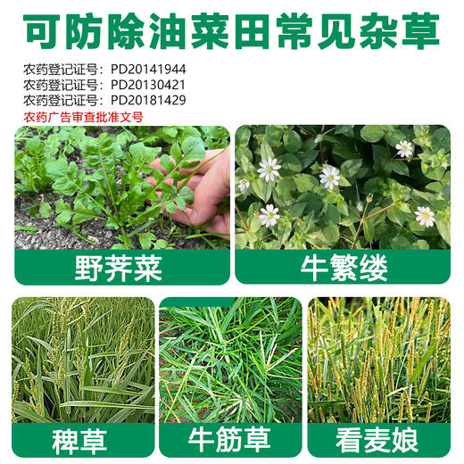 油菜田苗后除草方案禾阔双除精准除草防除多种杂草正品烯草酮农用 商品图2