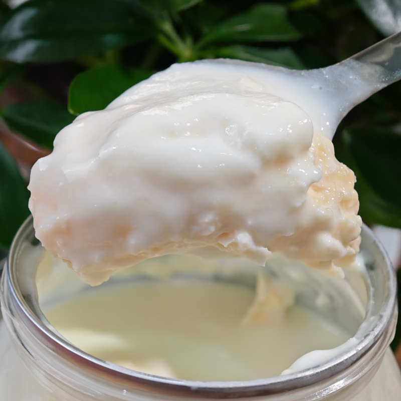 内蒙奶皮子酸奶