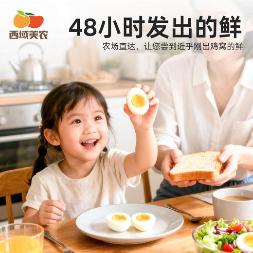 【FX】西域美农五星无抗鸡蛋/叶黄素可生食鸡蛋无抗生素 商品图10