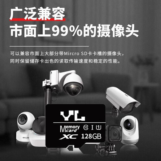 友林 安防监控专用内存卡 商品图2