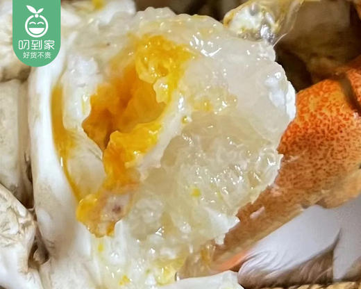 【叼蟹】江苏大闸蟹礼盒（公母各3只共6只，公蟹200g±10g，母蟹175g±10g） 商品图1