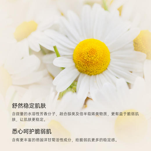 雅琪朵甘菊纯露125ml（天然植物原材料） 商品图4