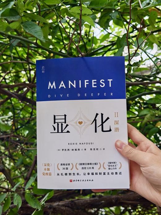 显化II：深潜 (带你深潜显化核心，唤醒本自具足的自己) 商品图3