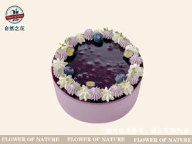 【蓝莓慕斯】健康少糖更好吃，新鲜现做