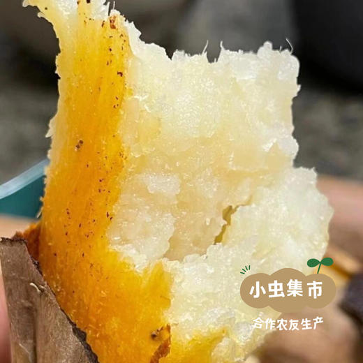 生态榴莲蜜薯/哈密白薯（红薯）5斤 | 合作农友种植，来自山西晋中，生产者：王彪 *【公平贸易农人定价】 商品图8