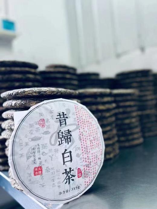 昔归白茶 商品图1