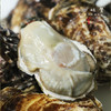 乳山深海生蚝（基地直发-顺丰包邮） | 多种规格，来自乳山，生产者：余锦涛【合作生产，公平贸易】 商品缩略图4