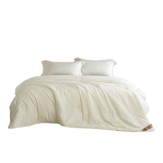 博洋家纺（BEYOND）A类舒柔大豆四季被200*230cm 商品图5