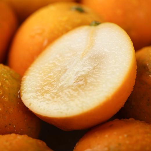 滑皮金桔【3斤29元】丨新鲜采摘，甜脆爽口 ，肉嫩无渣，带皮吃甜蜜爽口～ 商品图1