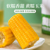农福翁东北黄糯玉米 新季玉米 蒸煮烧烤 新增白甜糯玉米 商品缩略图0