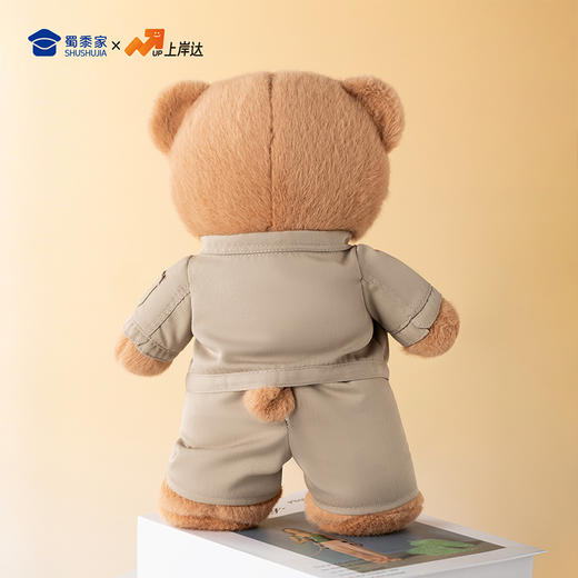 【实付满199送钥匙扣】【电网小熊】可定制创意毛绒职业小熊公仔儿童玩具服装可脱送礼礼物 商品图9