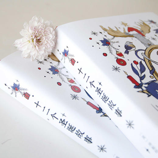 十二个圣诞故事 珍妮特·温特森 畅销小说 橘子不是唯一的水果 作者 商品图2