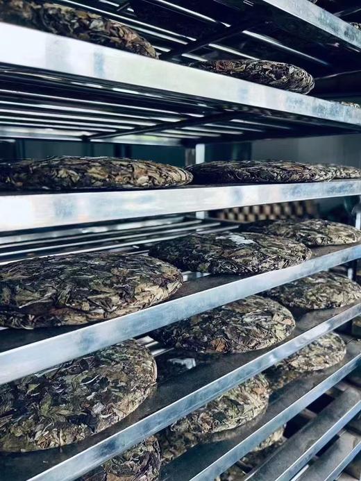 昔归白茶 商品图2