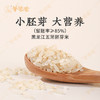 原产地发货【胚芽米】小小胚芽米 蕴含大营养，香甜软糯 营养好吸收 商品缩略图1