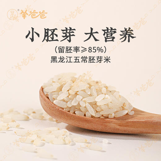 原产地发货【胚芽米】小小胚芽米 蕴含大营养，香甜软糯 营养好吸收 商品图1