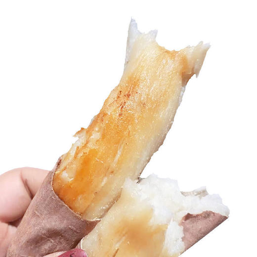 热卖中！！辽宁黑山哈密冰糖薯 商品图3
