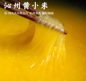 【沁州黄小米•山西】四大名小米之首   色泽金黄  颗粒饱满  能熬出三层米油