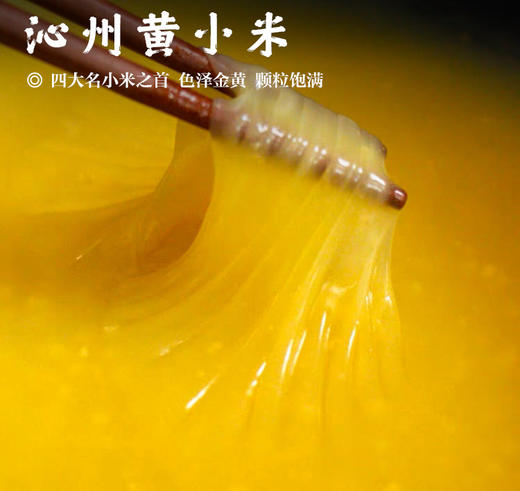 【沁州黄小米•山西】四大名小米之首   色泽金黄  颗粒饱满  能熬出三层米油 商品图0