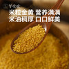 原产地发货【羊爸爸油小米】药食同源| 陕北米脂黄小米，油脂高味道浓郁！ 商品缩略图4