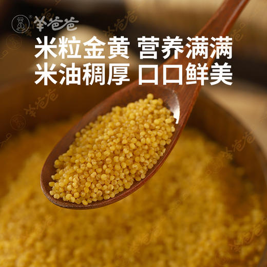 原产地发货【羊爸爸油小米】药食同源| 陕北米脂黄小米，油脂高味道浓郁！ 商品图4