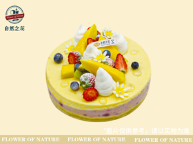 【蓝莓芝士】健康少糖更好吃，新鲜现做