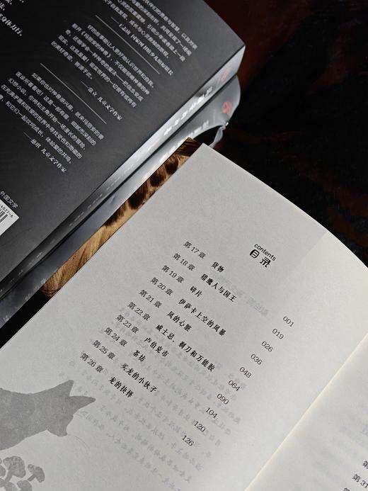 玛丽安的神兽【上下两册】 商品图10