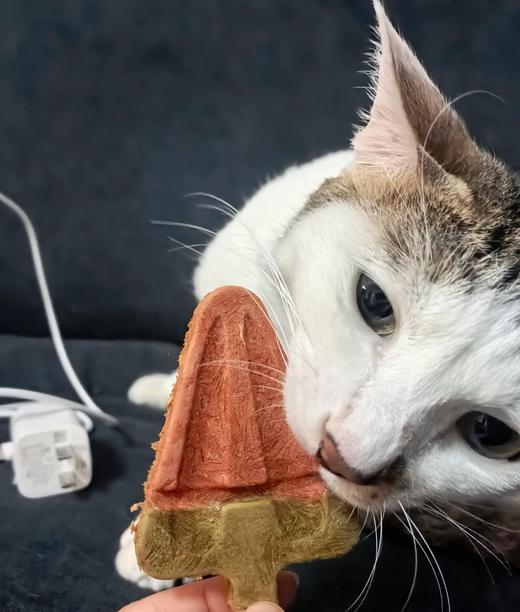 【新品生骨肉】冻干生骨肉多口味宠物零食 商品图1