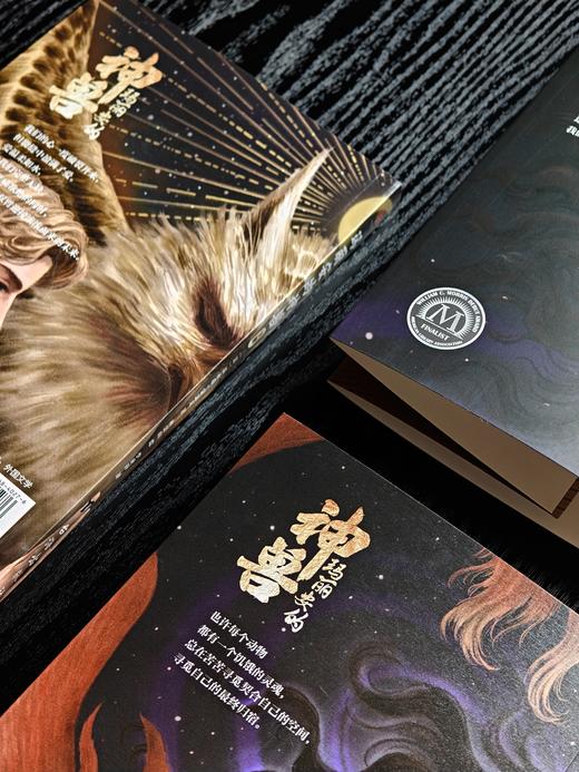 玛丽安的神兽【上下两册】 商品图9