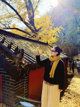 闪照第492期 秋天的黄