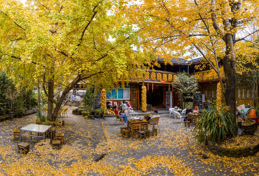 12月2日【云南】无量山樱花、和顺古镇、腾冲银杏村、诺邓古村、双廊洱海7天摄影 商品图1