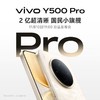 vivo Y500 Pro 到店购机享160元补贴卷（补贴卷可作为VIP系列卷／回收卷／融合卷／配件卷/换新补贴/使用5选1） 商品缩略图3