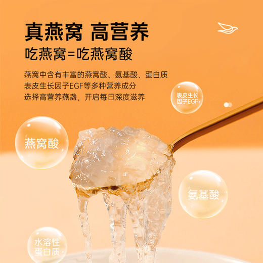 【食尚知补】100%足干燕窝，纯手工干挑 无人工添加剂 印尼燕窝（白燕特级盏）100克 精美礼盒装 商品图7