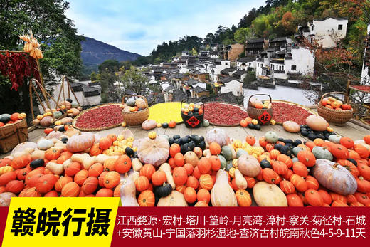 11月24日确定出发【赣皖行摄】江西婺源·宏村-塔川-篁岭-月亮湾-漳村-察关-菊径村-石城+安徽黄山-宁国落羽杉湿地公园-非遗油布伞-查济古村皖南秋色4天—5天—9天—11天 商品图0