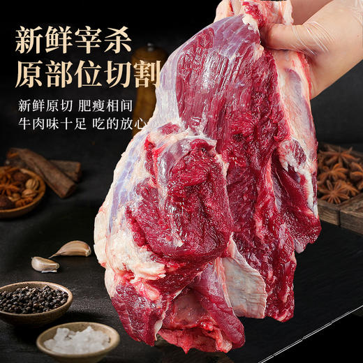 【东上御品】牛腩4斤 商品图1