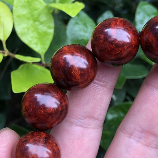 【青山特惠】特价1.8*13颗 5星 多瘤疤 小叶紫檀手串（无胶嫩瘤）t18 商品图1