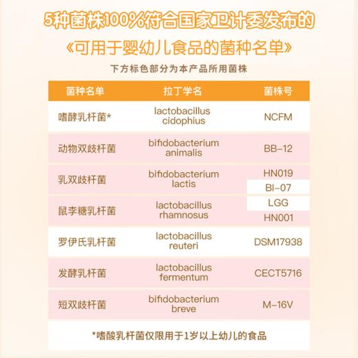 配方专利儿童项托益生菌冻干粉 5株进口菌株3种益生元 商品图2