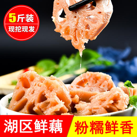 正耕 有机粉藕 场地直发现挖鲜发 商品图2