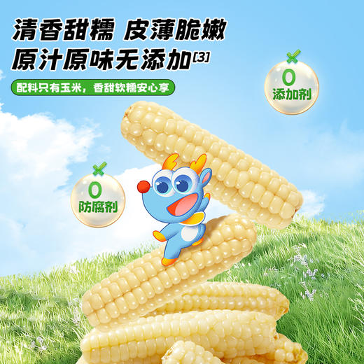 【任选专区】【36月+】拇指小玉米约100g 商品图2