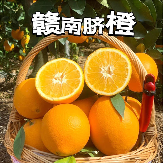 2025江西赣南脐橙 当季时令新鲜应季水果 产地直供 商品图1
